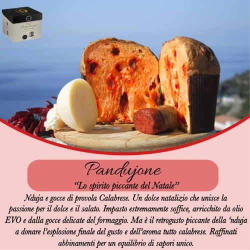 PANETTONE PANDUJONE 1 KG