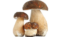 FUNGHI PORCINI INTERI  1^ 1 KG