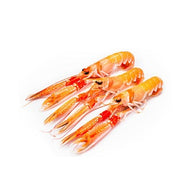 SCAMPI INTERI  17/20 6X750 GR