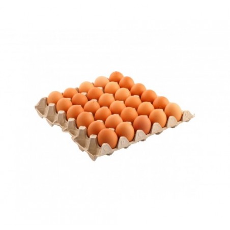 UOVA  C/A PASTA GIALLA '' L '' 30 PZ
