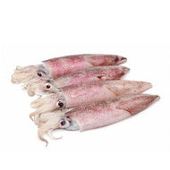 CALAMARI SPORCHI 3P MAROCCO BORDO IWP 1x6 KG