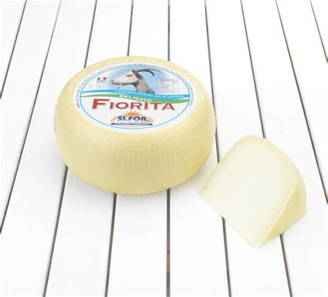 CACIOTTA CAPRA FIORITA AMALATTEA