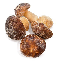 FUNGHI PORCINI INTERI EXTRA 
