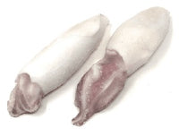 CALAMARI INDOP PUL U/5 IQF 800 GR