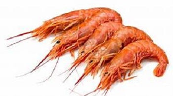 GAMBERO ARGENTINO L1 CF DA 2 KG