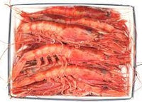 GAMBERONE VASSOIO DA 500 GR