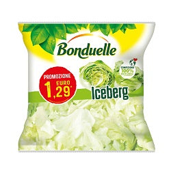 ICEBERG G.160